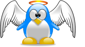 Do you know the Linux kernel version number